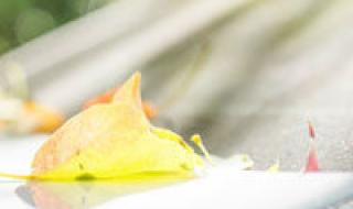 怎样更改qq头像 怎样更改qq头像